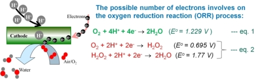 F555_2-Fig2 F555_2-Fig2