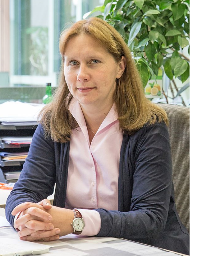 Prof. Dr.-Ing. Irina Smirnova